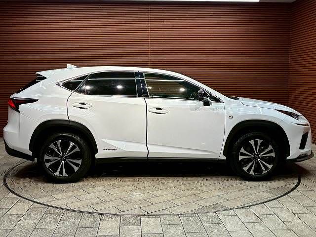 LEXUS NX300h