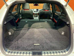 LEXUS NX300h