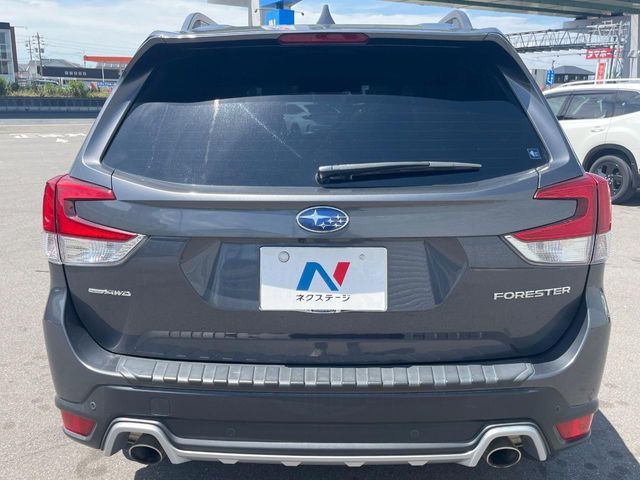 FORESTER
