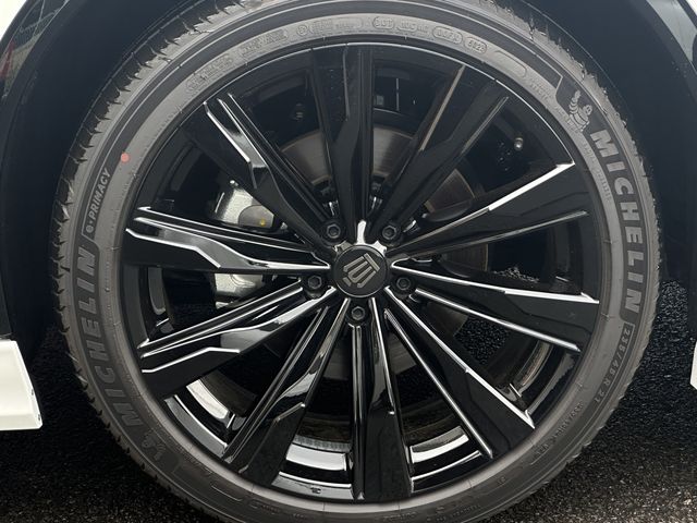 CROWN SPORT