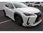 LEXUS UX250h