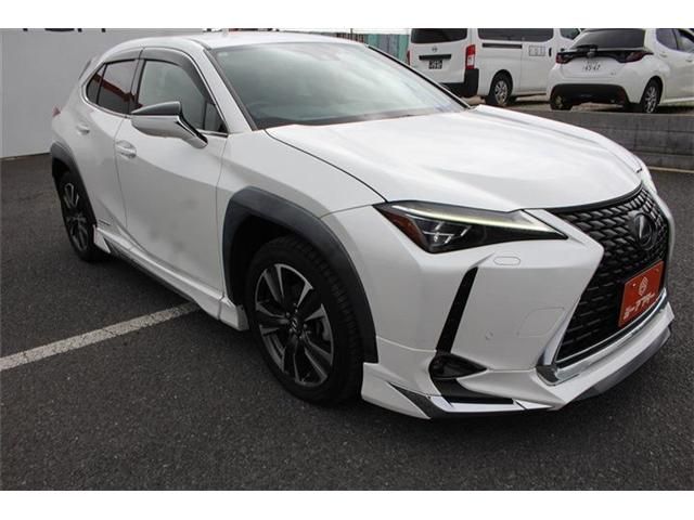 LEXUS UX250h