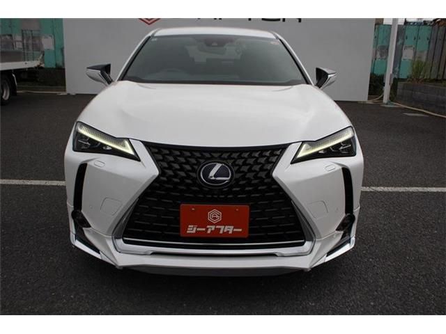 LEXUS UX250h