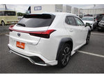 LEXUS UX250h
