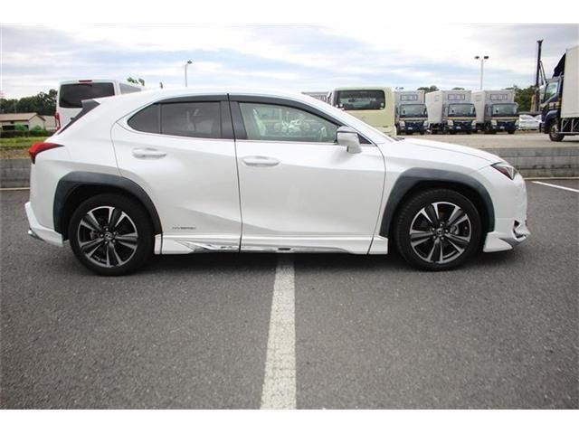 LEXUS UX250h