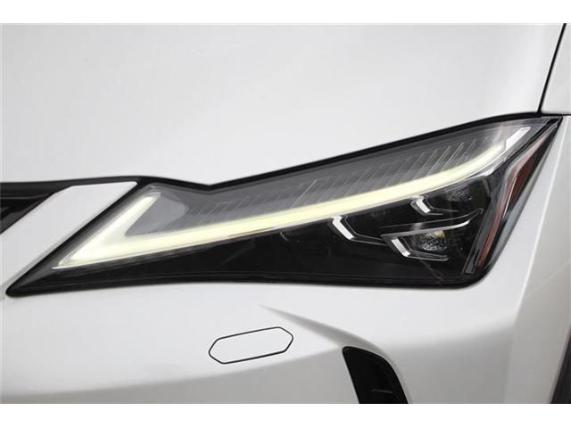 LEXUS UX250h