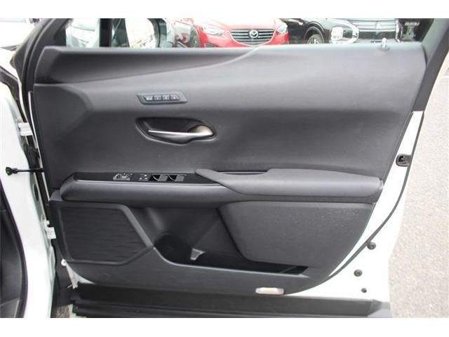 LEXUS UX250h