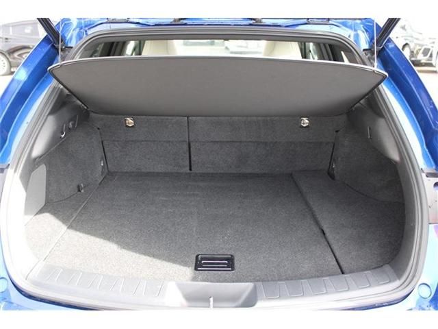 LEXUS UX250h AWD