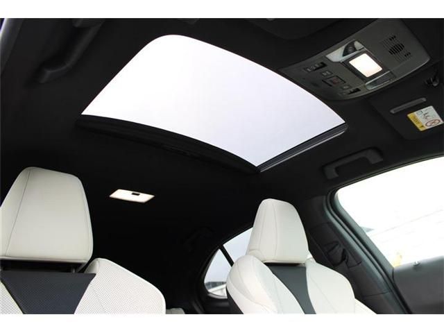LEXUS UX250h AWD
