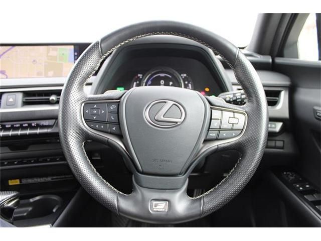LEXUS UX250h AWD