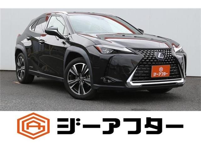 LEXUS UX250h