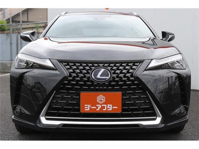 LEXUS UX250h