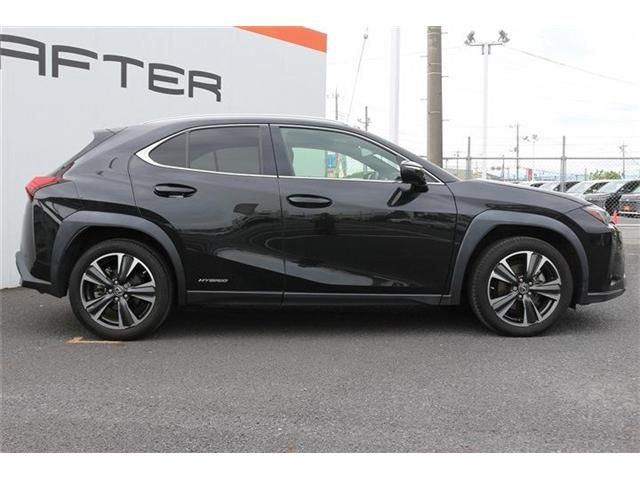 LEXUS UX250h