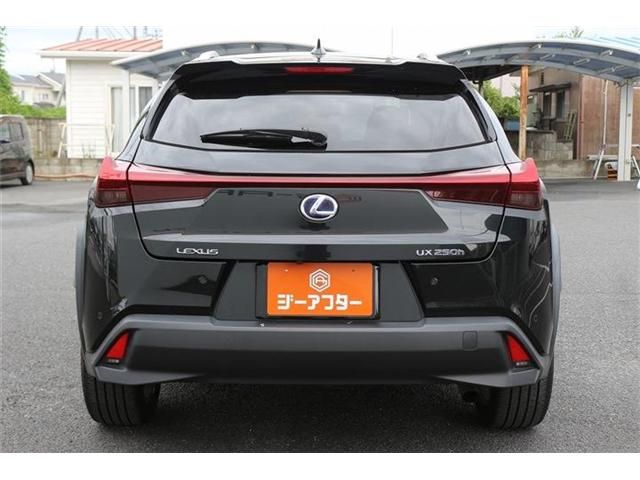 LEXUS UX250h