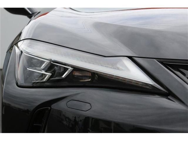 LEXUS UX250h