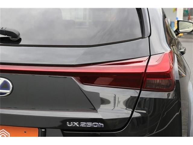 LEXUS UX250h