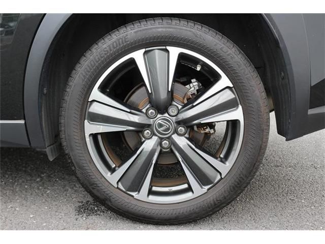 LEXUS UX250h