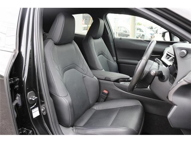 LEXUS UX250h