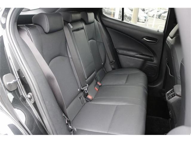 LEXUS UX250h