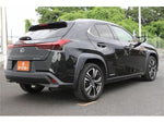 LEXUS UX250h