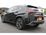 LEXUS UX250h