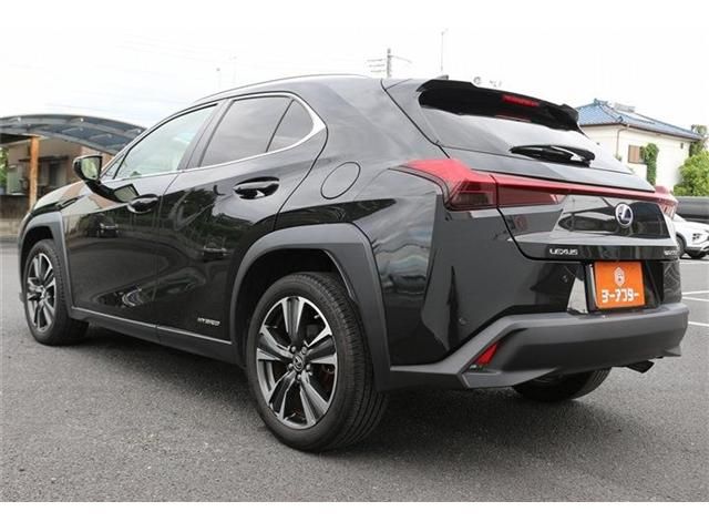 LEXUS UX250h