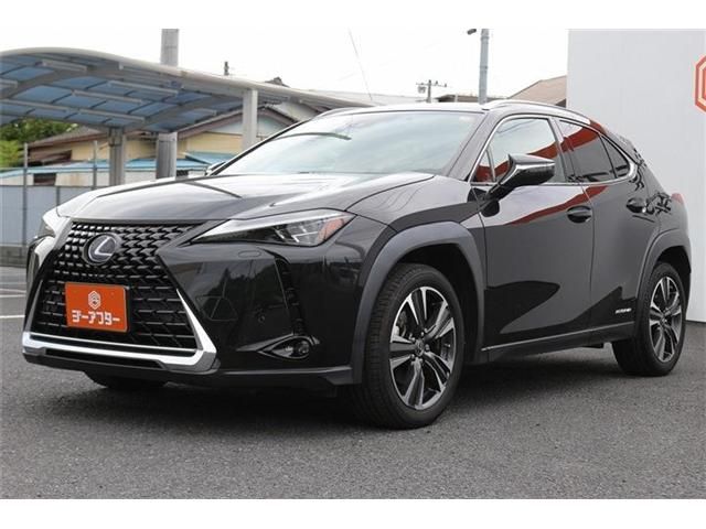 LEXUS UX250h