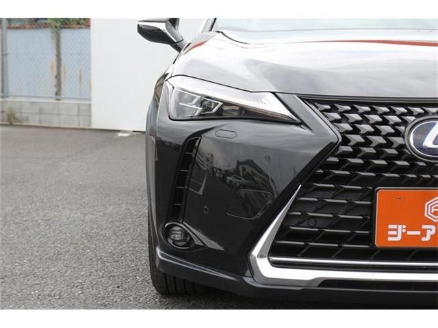 LEXUS UX250h