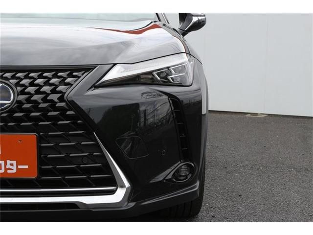 LEXUS UX250h