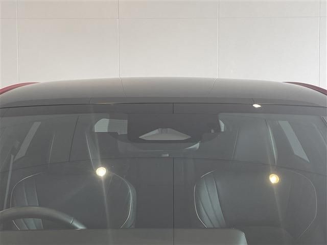 CROWN SPORT