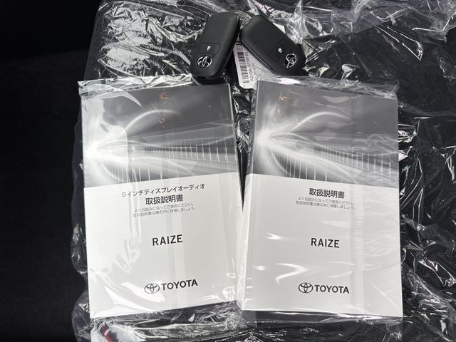 RAIZE HYBRID