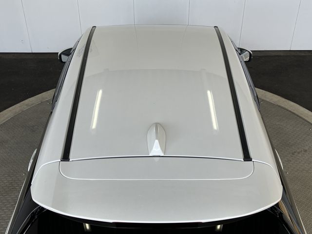 SHUTTLE HYBRID