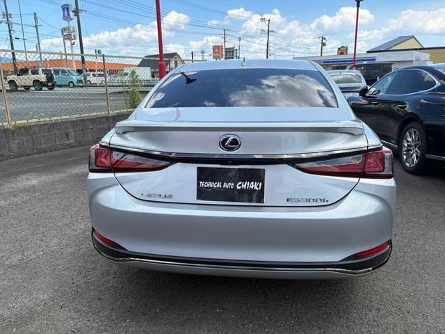 LEXUS ES300h