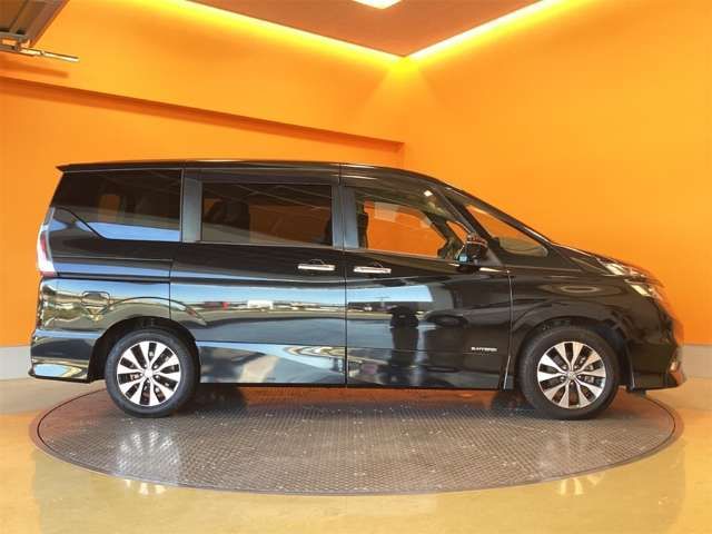 SERENA  S-HYBRID