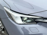 LEVORG LAYBACK