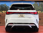 LEXUS RX500h
