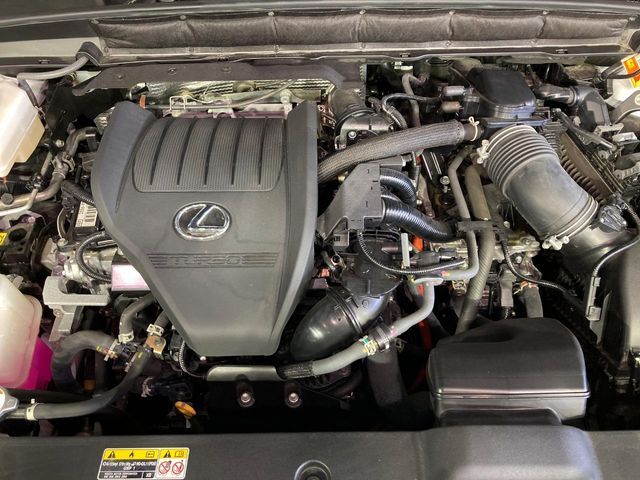 LEXUS RX500h