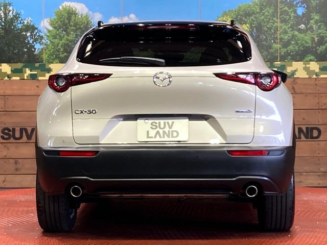 CX-30
