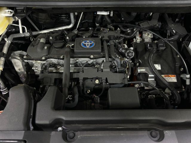 NOAH HYBRID