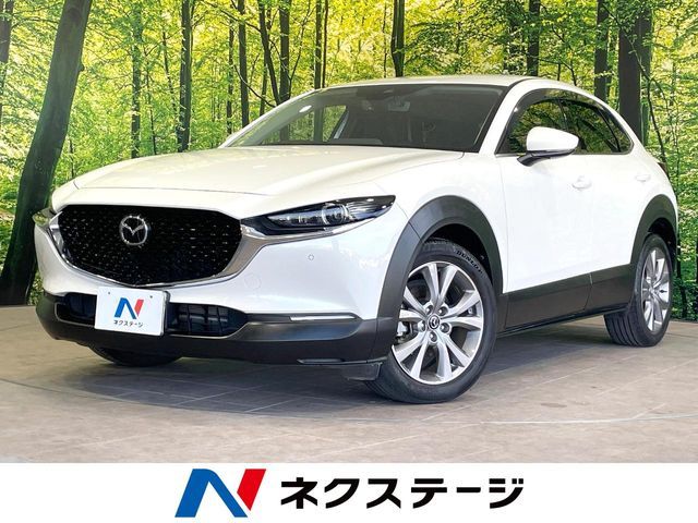 CX-30