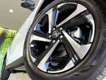 RAIZE HYBRID