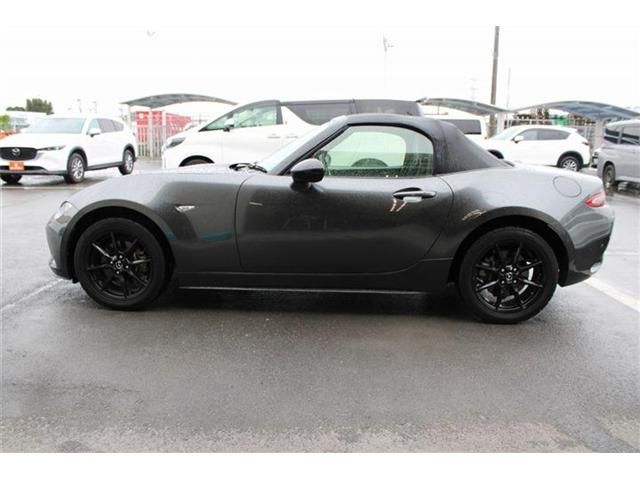 ROADSTER