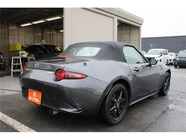 ROADSTER
