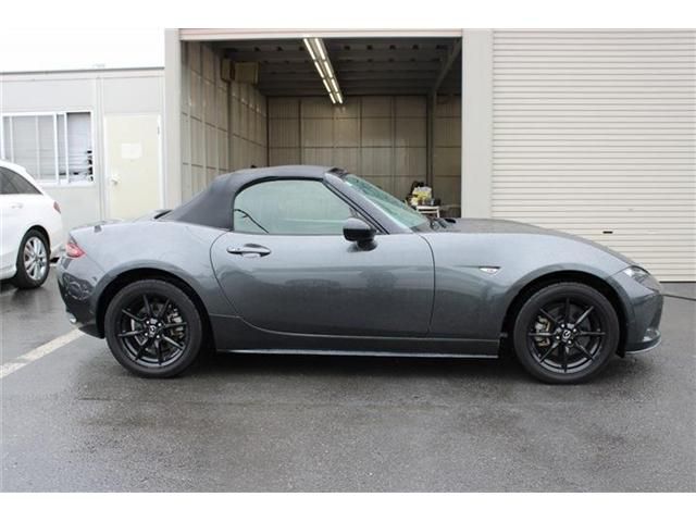 ROADSTER