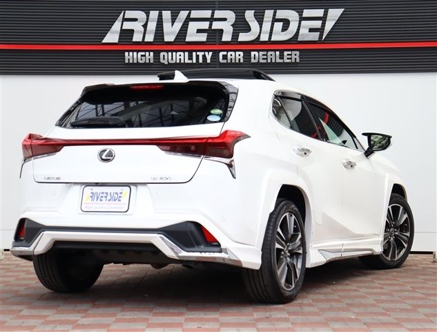 LEXUS UX200