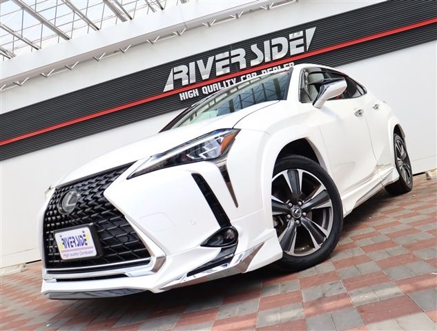LEXUS UX200