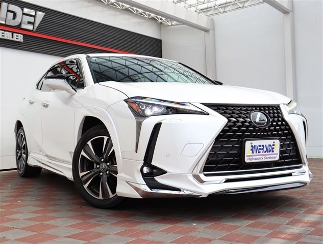 LEXUS UX200