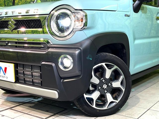 HUSTLER 4WD