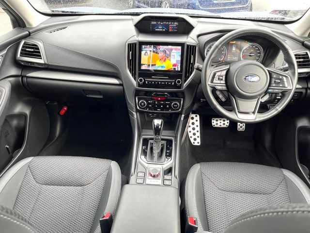 FORESTER