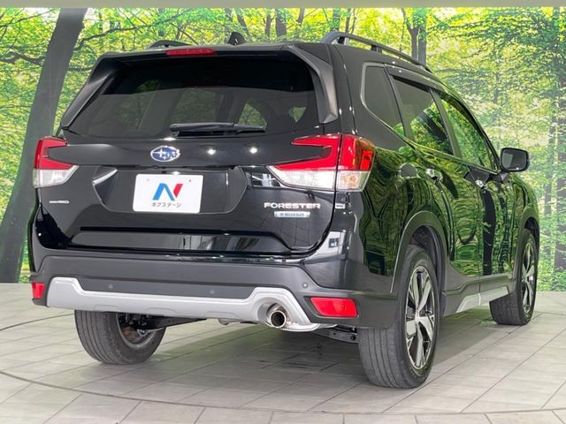 FORESTER